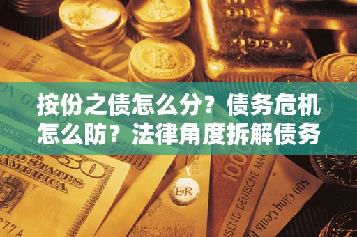 武汉按份之债怎么分？债务危机怎么防？法律角度拆解债务分配与风险自保指南