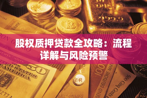 武汉股权质押贷款全攻略：流程详解与风险预警