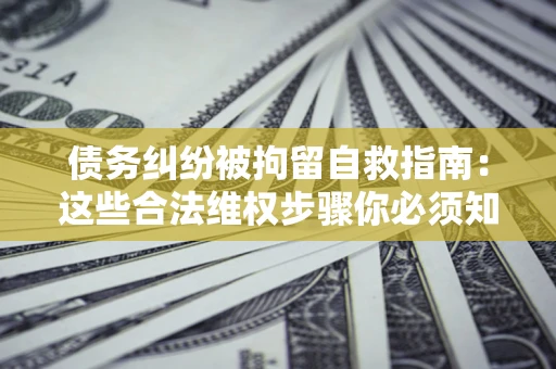 武汉债务纠纷被拘留自救指南：这些合法维权步骤你必须知道！