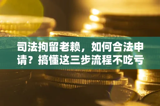 武汉司法拘留老赖，如何合法申请？搞懂这三步流程不吃亏！