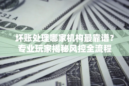 武汉坏账处理哪家机构最靠谱？专业玩家揭秘风控全流程