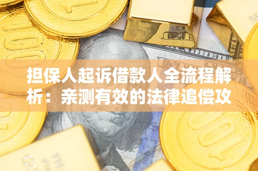 武汉担保人起诉借款人全流程解析：亲测有效的法律追偿攻略