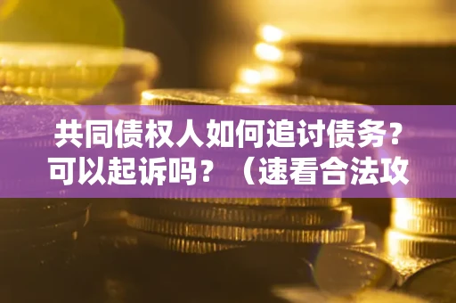 武汉共同债权人如何追讨债务？可以起诉吗？（速看合法攻略）