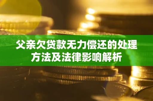 武汉父亲欠贷款无力偿还的处理方法及法律影响解析
