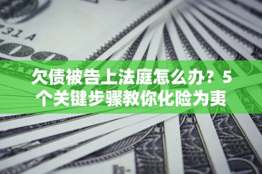 武汉欠债被告上法庭怎么办？5个关键步骤教你化险为夷